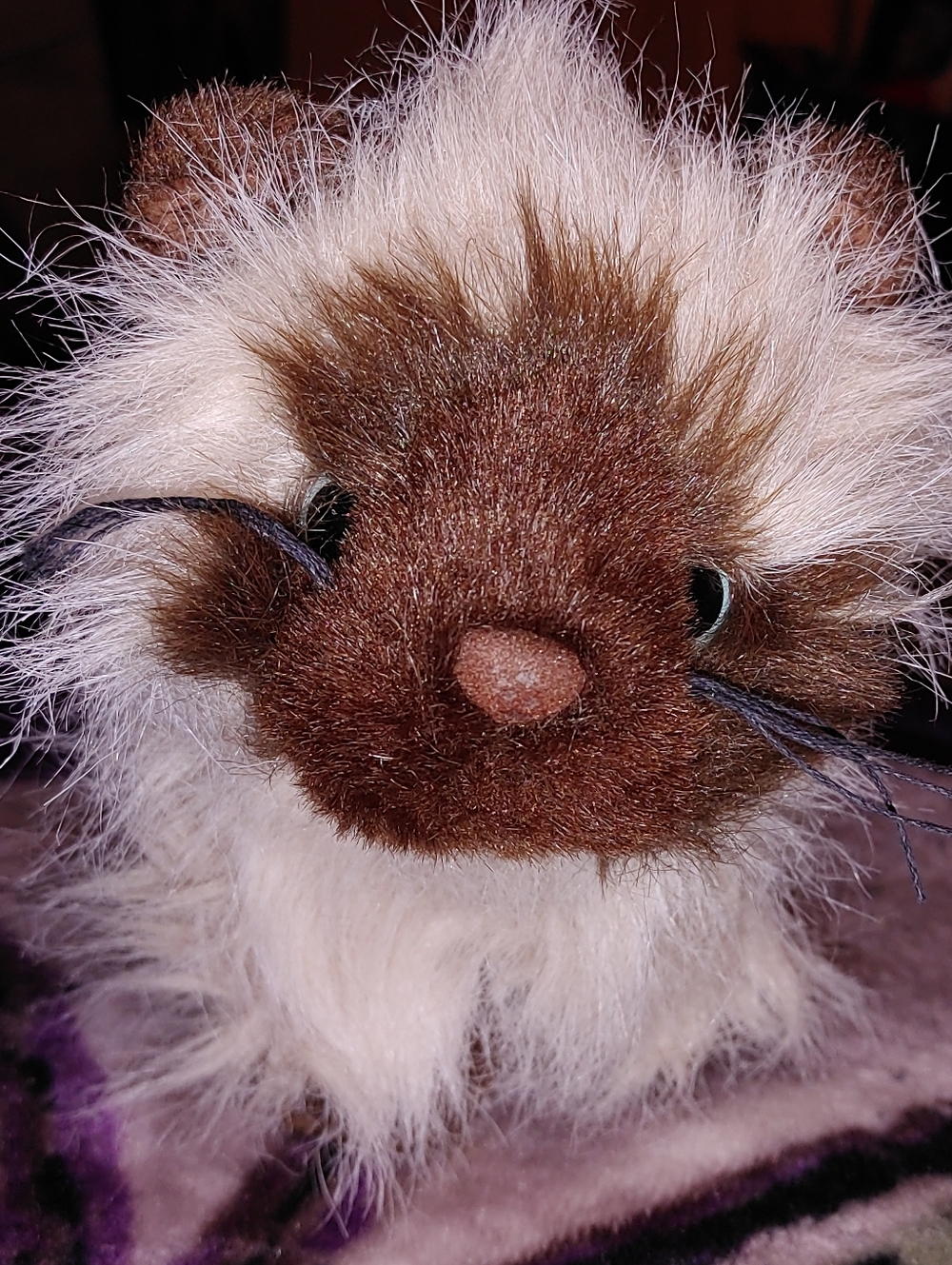 🛍️2/$20🛍️Ganz Webkinz Himalayan Cat Plush